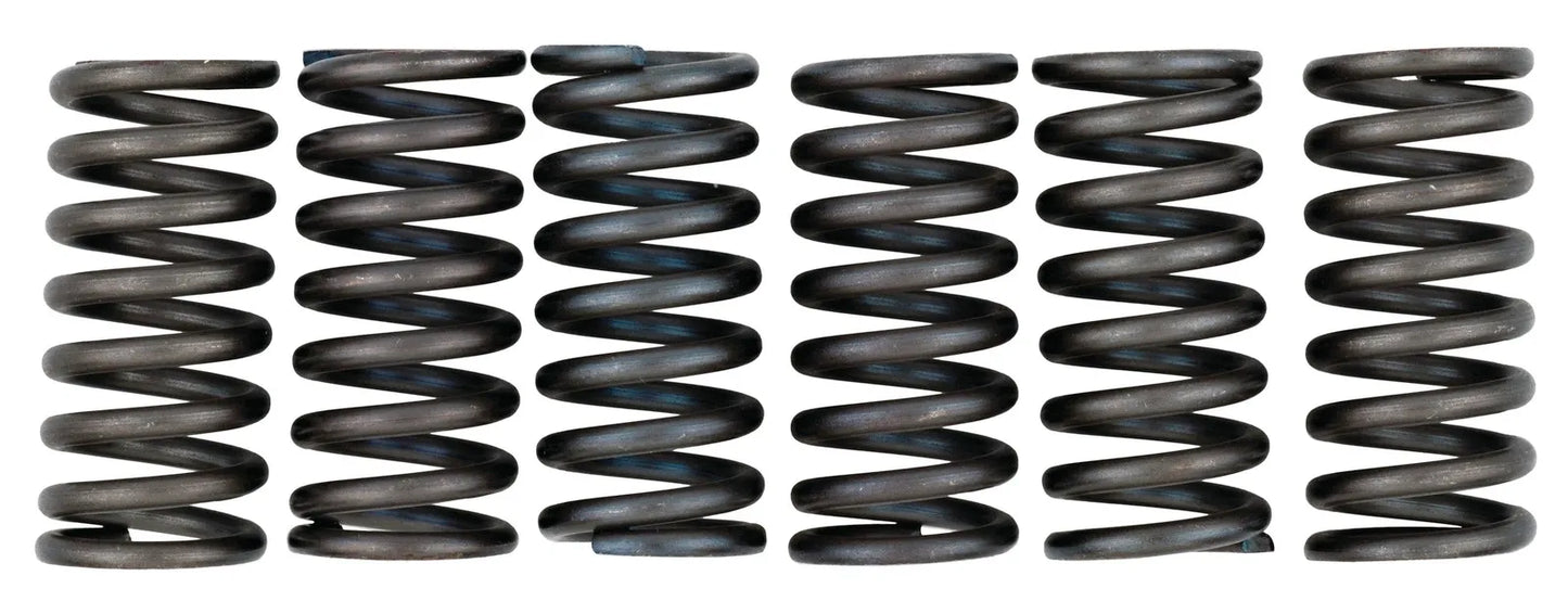 EBC Heavy Duty Clutch Springs - SR250 XT250 TT600 TT600S TT600R XT600 XT600Z