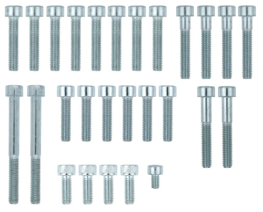Engine Bolt Set - Allen Screws for Crankcase Cover - Zinc Coated - XT500 TT500