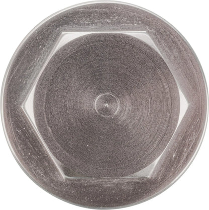 Carburetor Float Bowl - Drain Plug - 17mm Hex Head - XT500 TT500