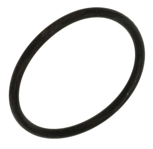 Carburetor Float Bowl - Drain Plug - Rubber O-Ring - XT500 TT500