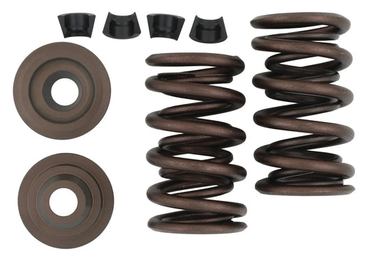 KEDO Racing Valve Springs - XT500 TT500 SR500