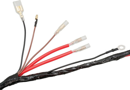 Replica Main Wiring Harness - KEDO PLUS - XT500 -'77
