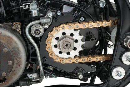 Aluminum Chain Guide (Case Saver) - XT500 TT500 SR500