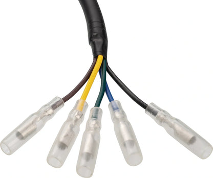 Rear Wire Harness - for Taillight and Turn Signals - XT250