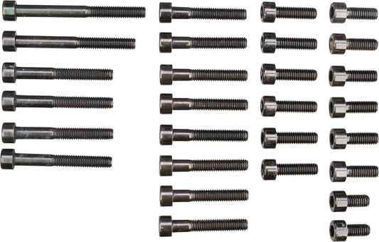 M6 Allen Bolt Set - for Crankcase - Black Zinc-coated - All Bolts for Crankcase, Oil Sump, Oil Labyrinth, Cable Guide, Oil Line - SR500 TT500 XT500