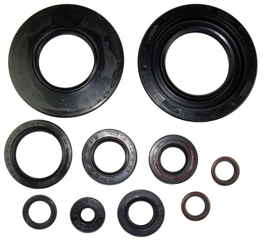 Engine Shaft Seals - Complete 10 pcs Kit - SR500