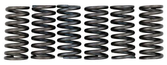 EBC Heavy Duty Clutch Springs - SR250 XT250 TT600 TT600S TT600R XT600 XT600Z
