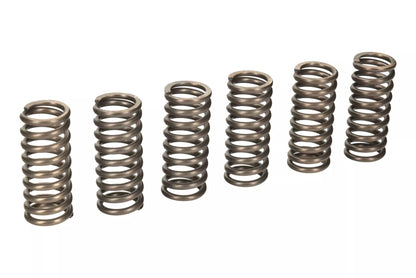 EBC - Clutch Spring Set - Husqvarna Enduro 701 Supermoto 701 Svartpilen 401 Svartpilen 701 Vitpilen 401 Vitpilen 701 KTM Duke 690 Enduro 690 SMC 690 Supermoto 690 - CSK131