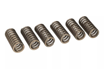 EBC - Clutch Spring Set - Husqvarna Enduro 701 Supermoto 701 Svartpilen 401 Svartpilen 701 Vitpilen 401 Vitpilen 701 KTM Duke 690 Enduro 690 SMC 690 Supermoto 690 - CSK131